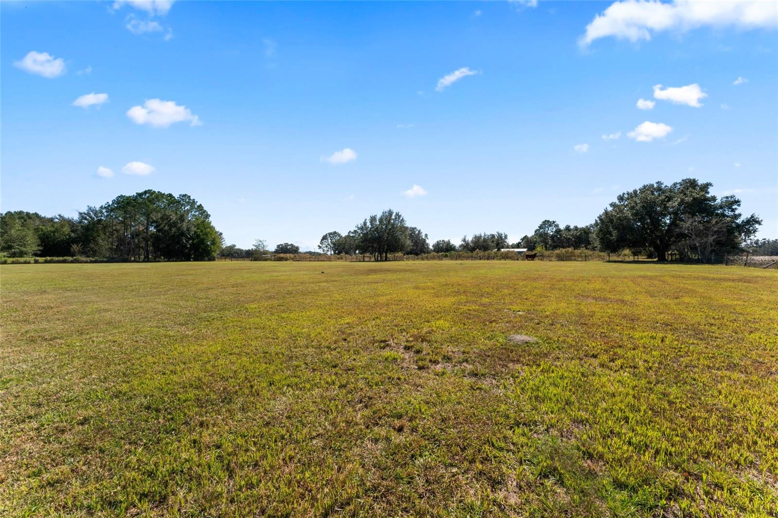 0 COUNTY ROAD 52, SAN ANTONIO, FL — photo 6