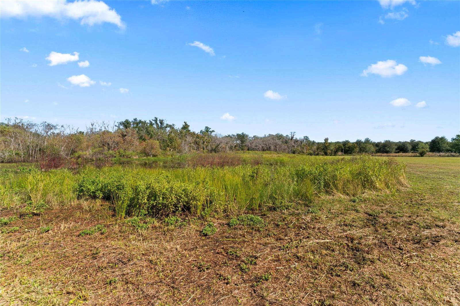 0 COUNTY ROAD 52, SAN ANTONIO, FL — photo 8