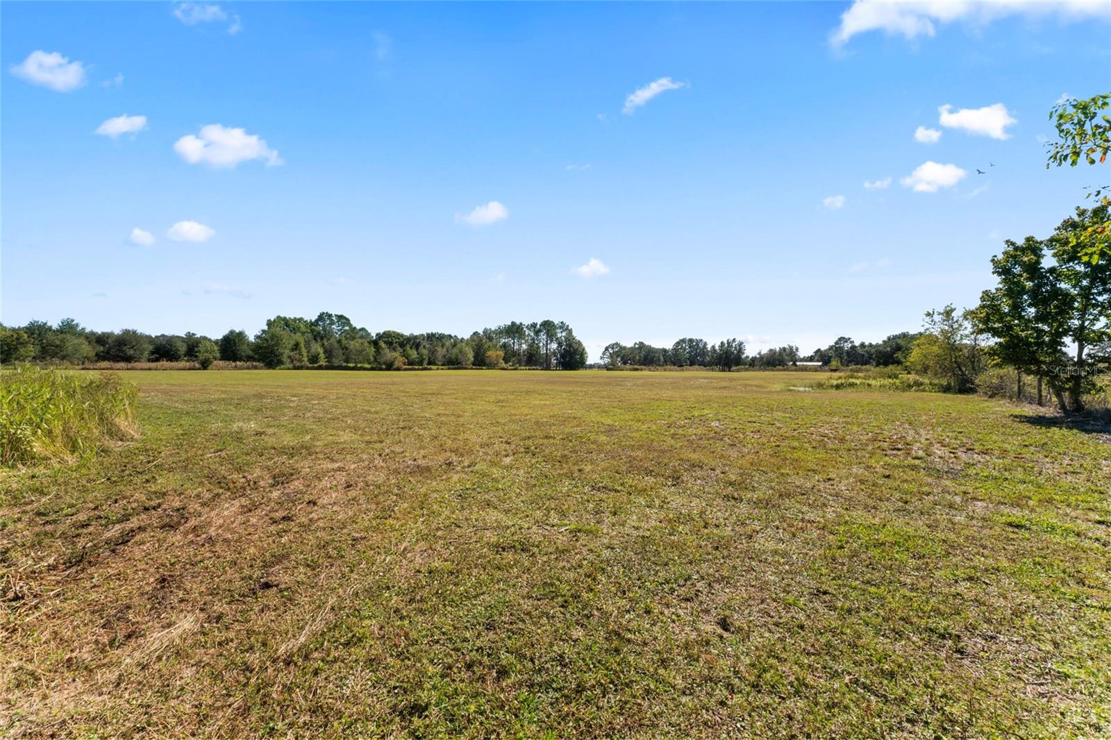 0 COUNTY ROAD 52, SAN ANTONIO, FL — photo 9