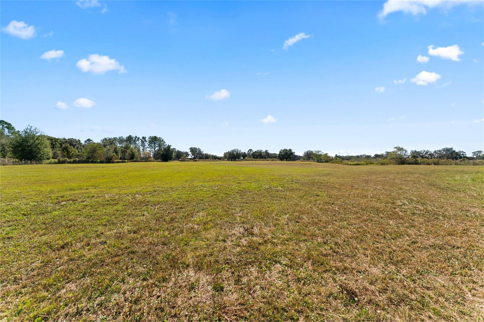 0 COUNTY ROAD 52, SAN ANTONIO, FL — photo 10