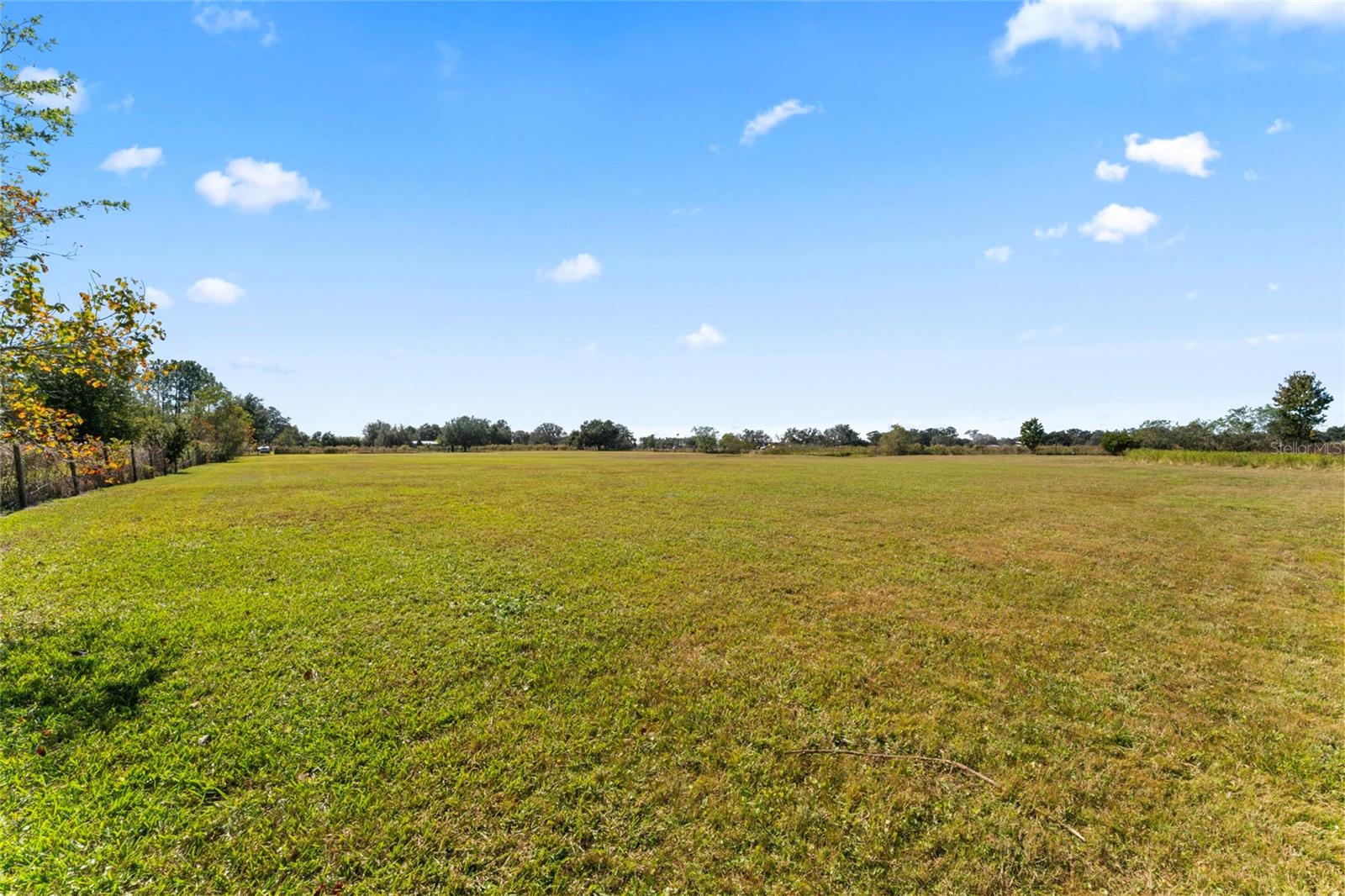0 COUNTY ROAD 52, SAN ANTONIO, FL — photo 11