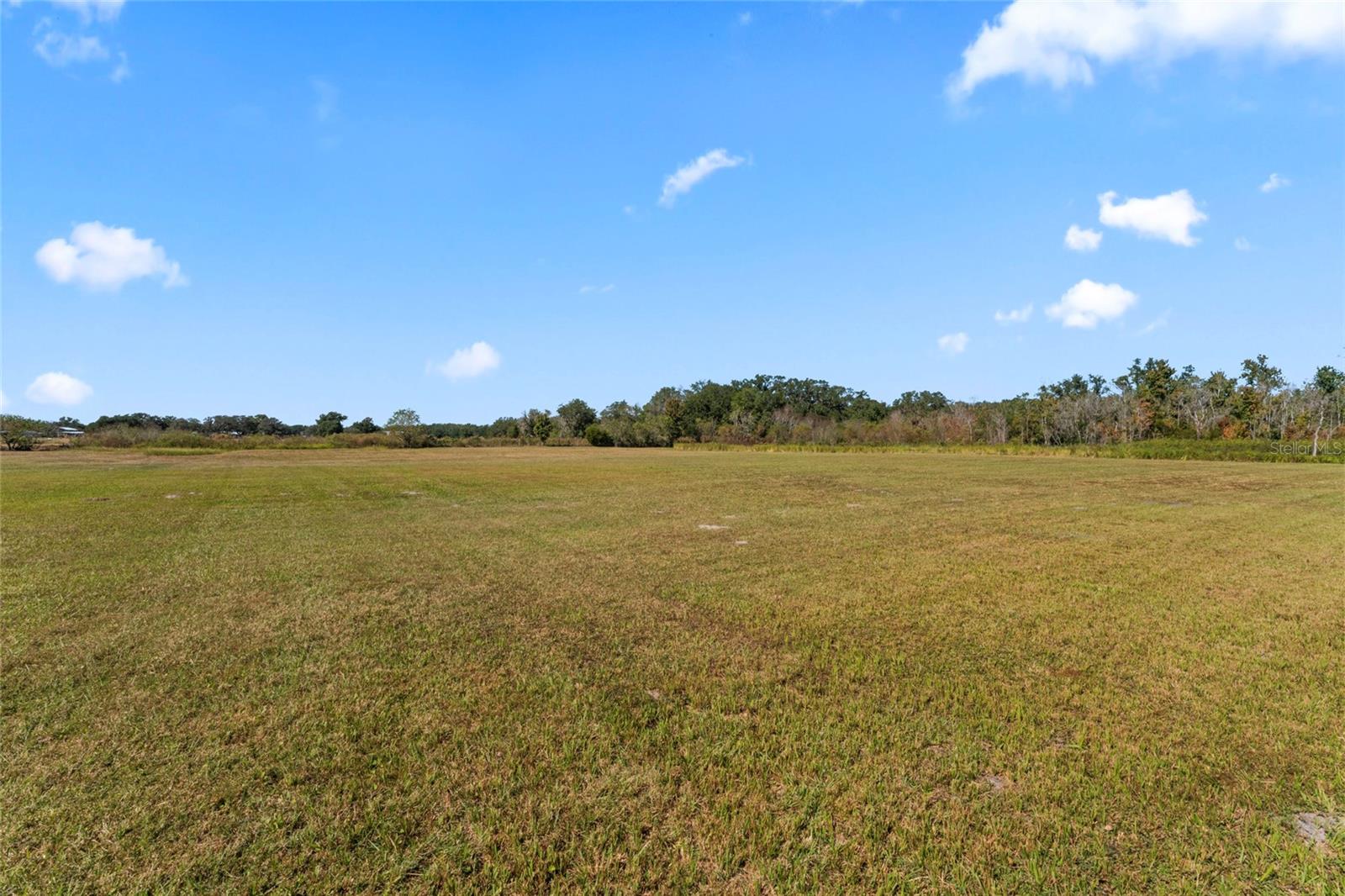 0 COUNTY ROAD 52, SAN ANTONIO, FL — photo 13