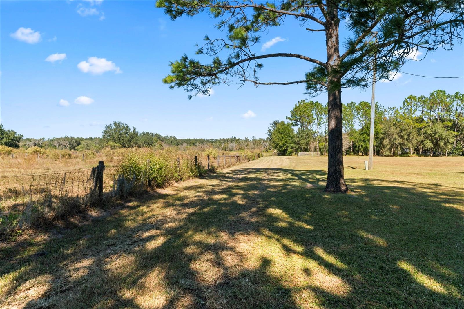 0 COUNTY ROAD 52, SAN ANTONIO, FL — photo 14