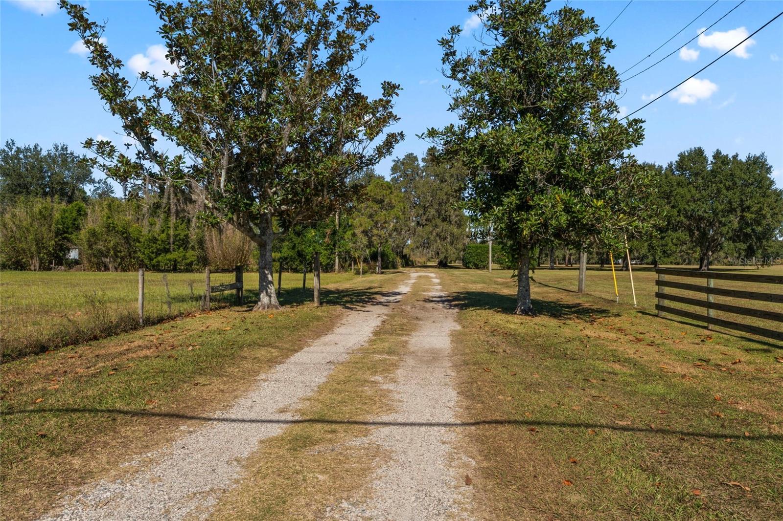 0 COUNTY ROAD 52, SAN ANTONIO, FL — photo 15