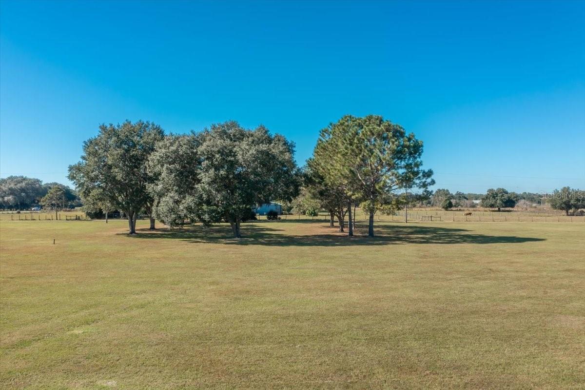 31935 COUNTY ROAD 52, SAN ANTONIO, FL — photo 4