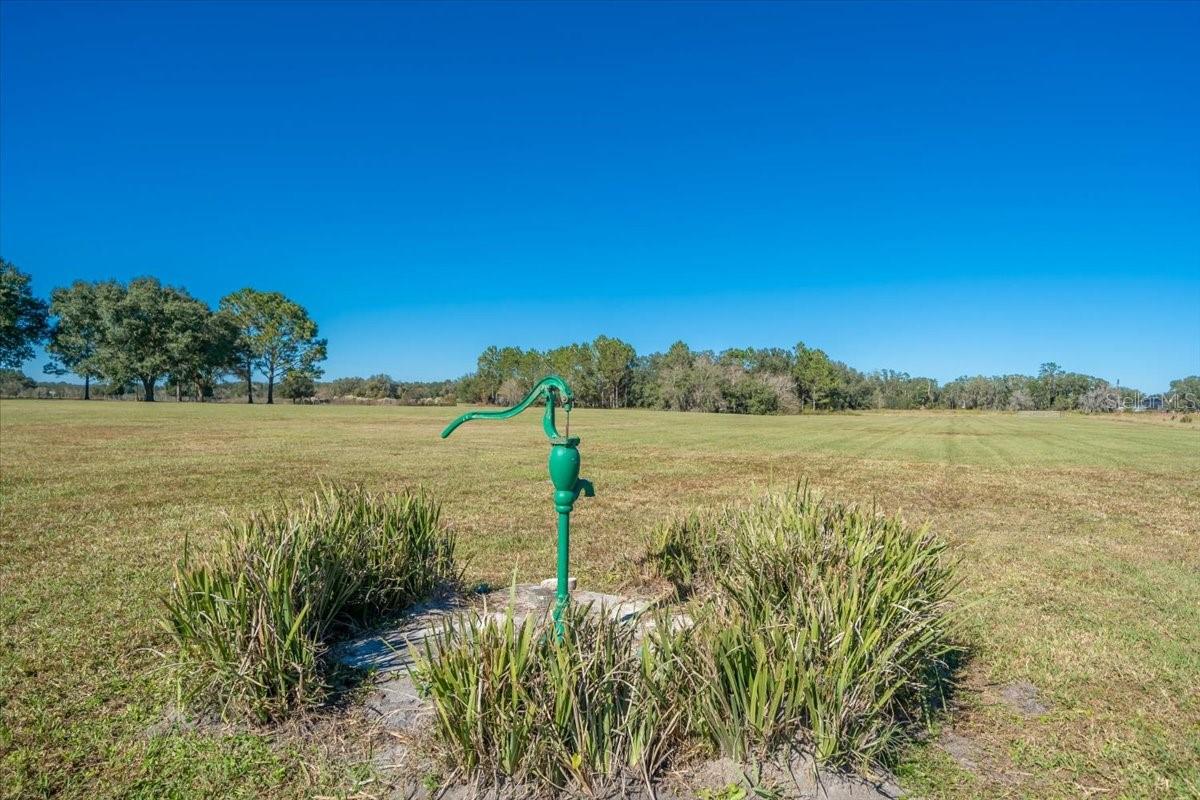 31935 COUNTY ROAD 52, SAN ANTONIO, FL — photo 16