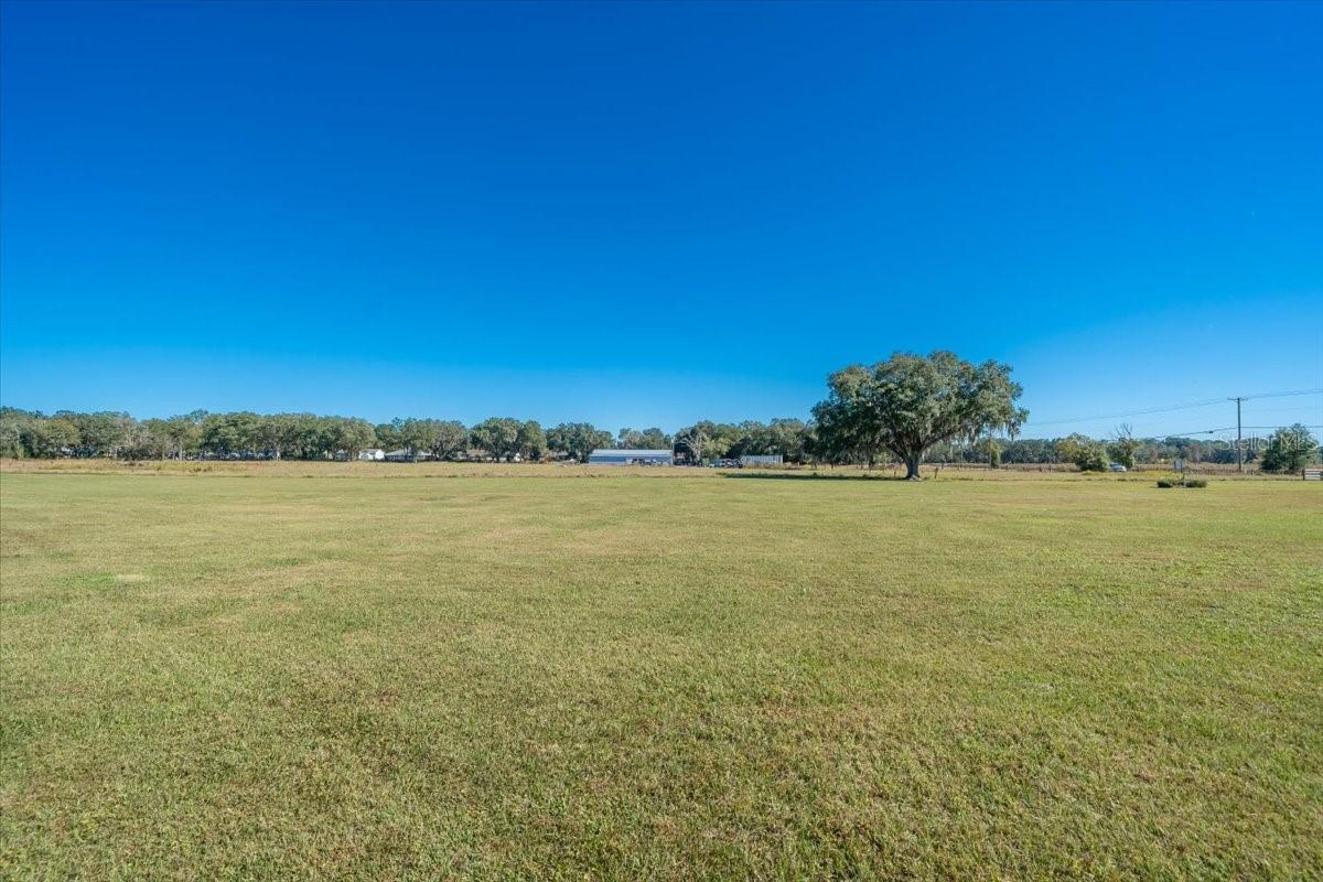 31935 COUNTY ROAD 52, SAN ANTONIO, FL — photo 23