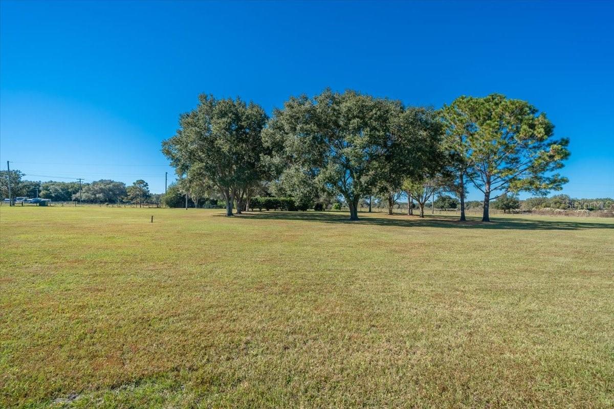 31935 COUNTY ROAD 52, SAN ANTONIO, FL — photo 24