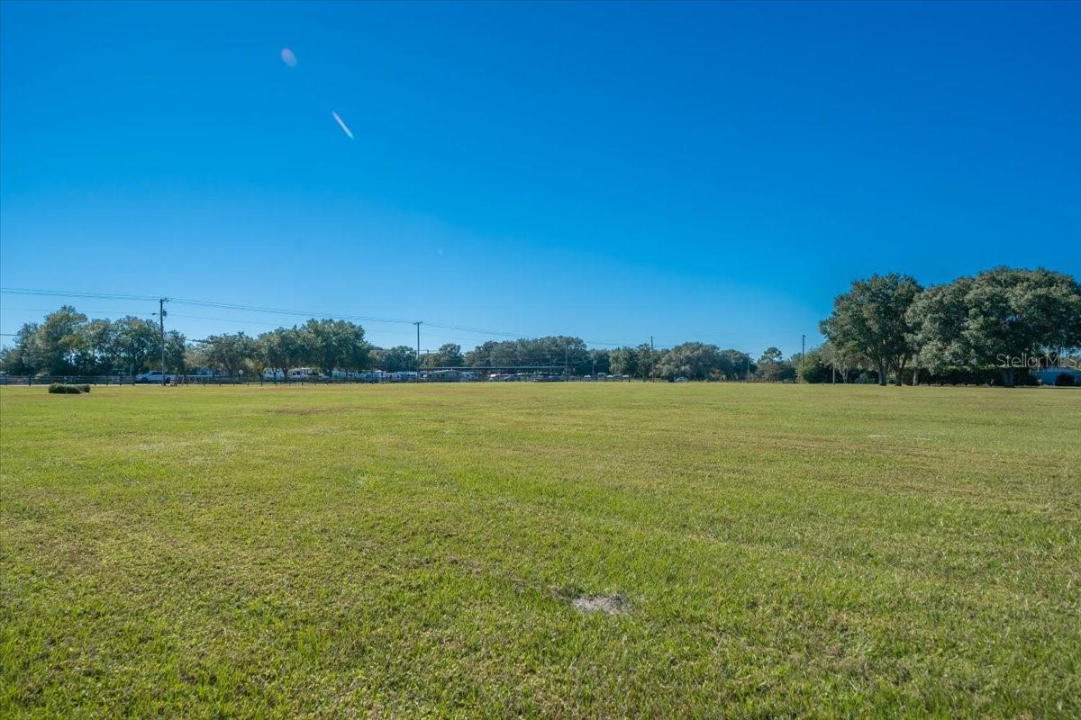 31935 COUNTY ROAD 52, SAN ANTONIO, FL — photo 18