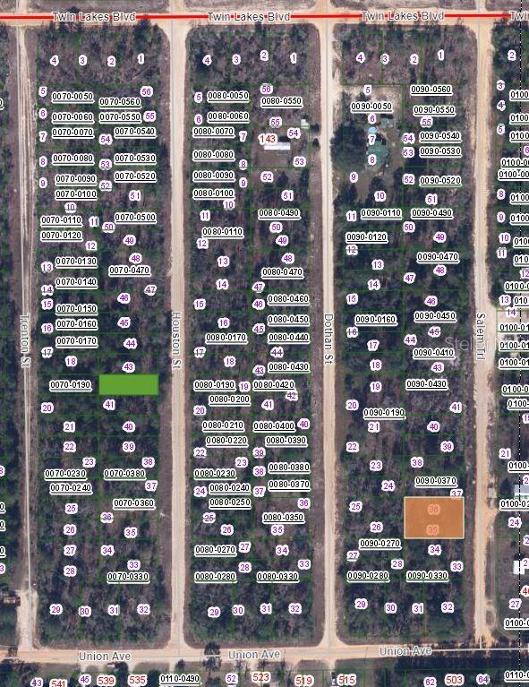 00 SALEM ST, INTERLACHEN, FL — photo 2