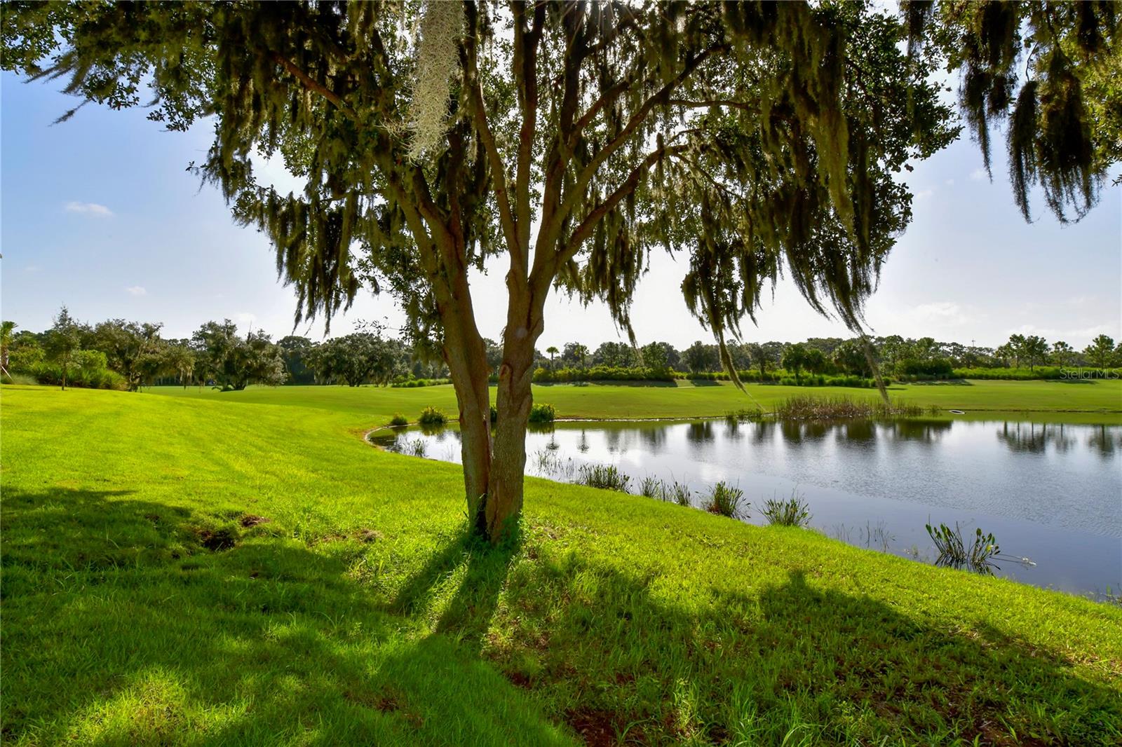13732 MESSINA LOOP #201, BRADENTON, FL — photo 42