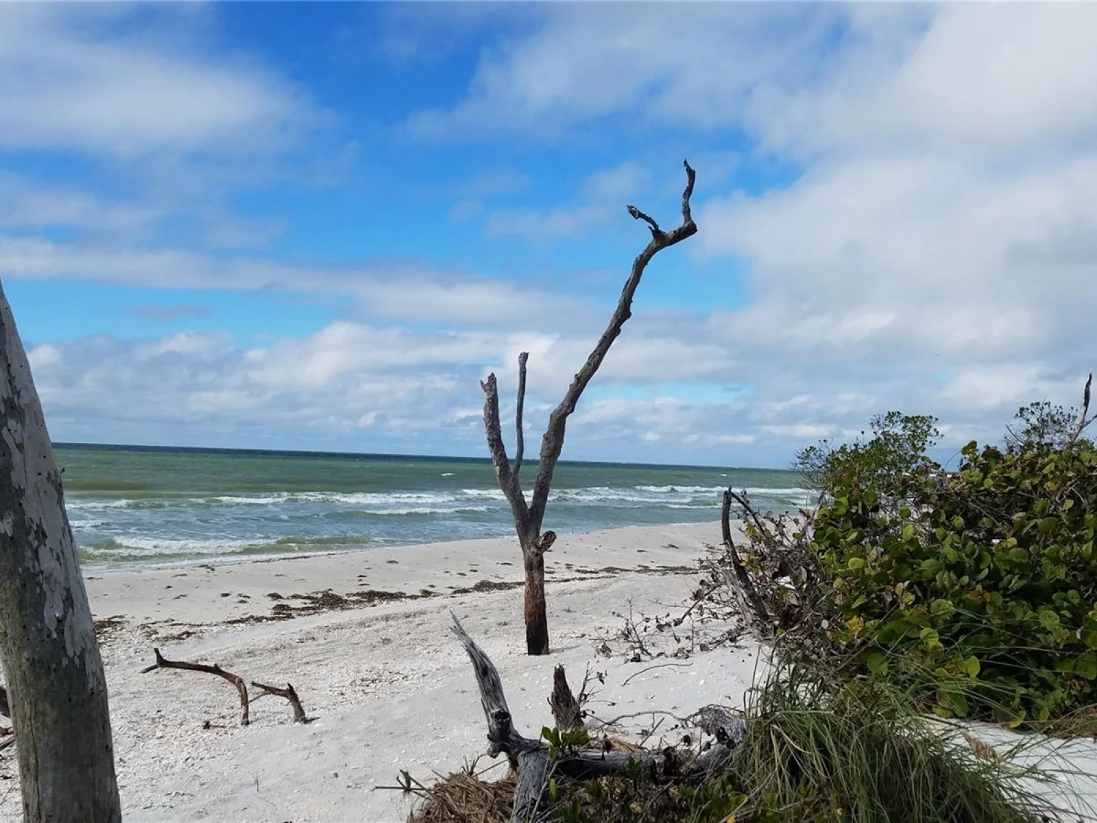 ACCESS UNDETERMINED, BOKEELIA, FL — photo 9