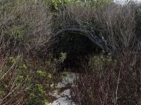 ACCESS UNDETERMINED — photo 10