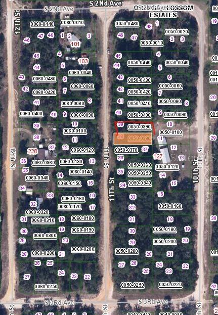 00 11TH ST, INTERLACHEN, FL — photo 2
