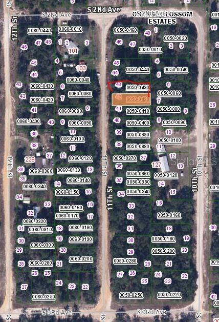 00 11TH ST, INTERLACHEN, FL — photo 2