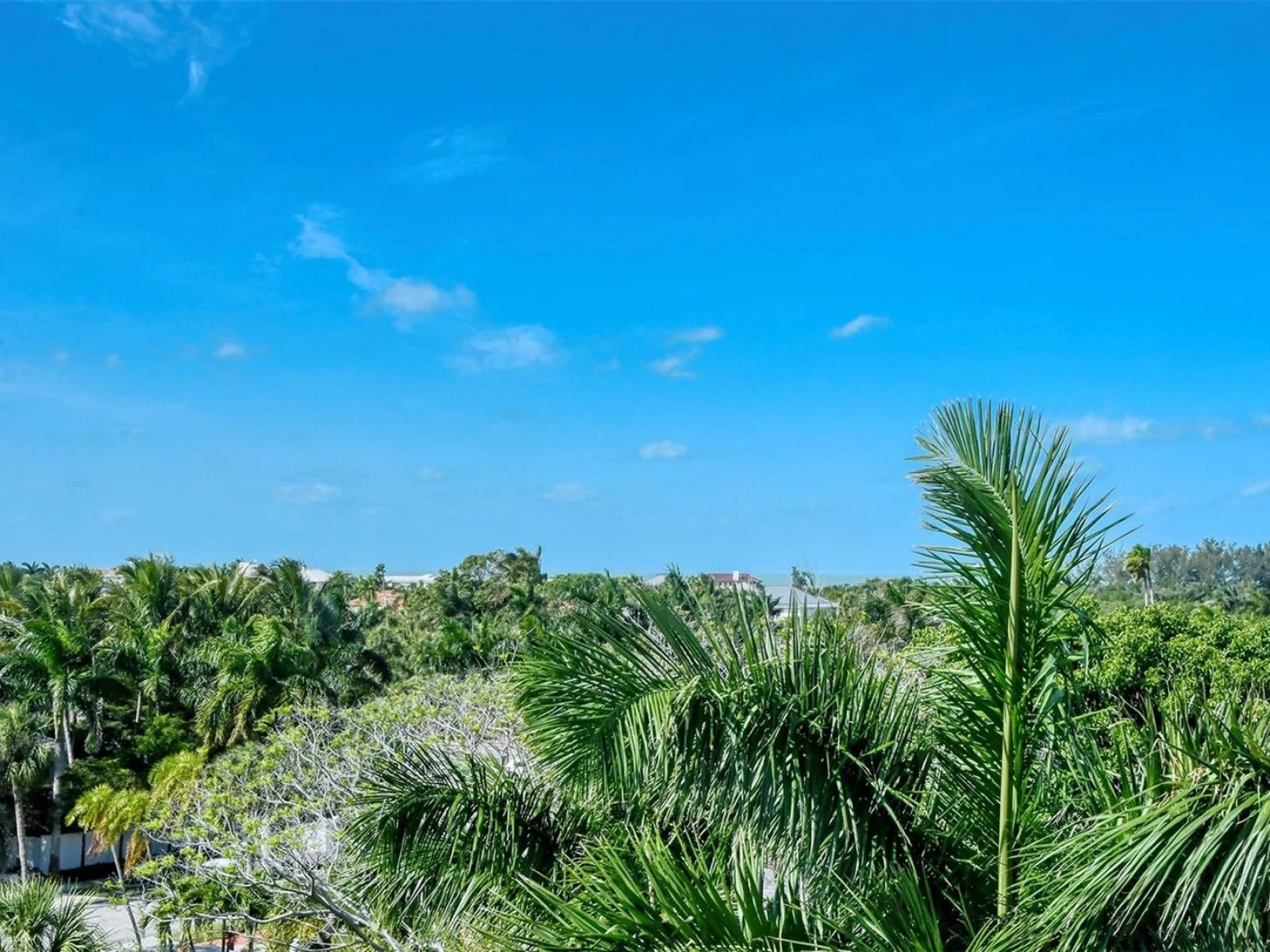 213 N WASHINGTON DR, SARASOTA, FL — photo 86
