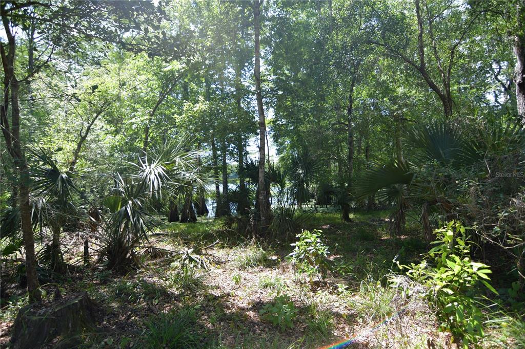 SW 64TH AVE, BUSHNELL, FL