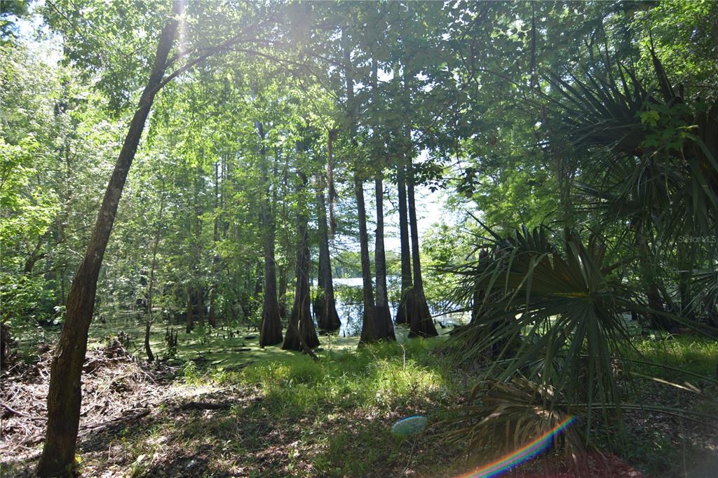 SW 64TH AVE, BUSHNELL, FL — photo 2