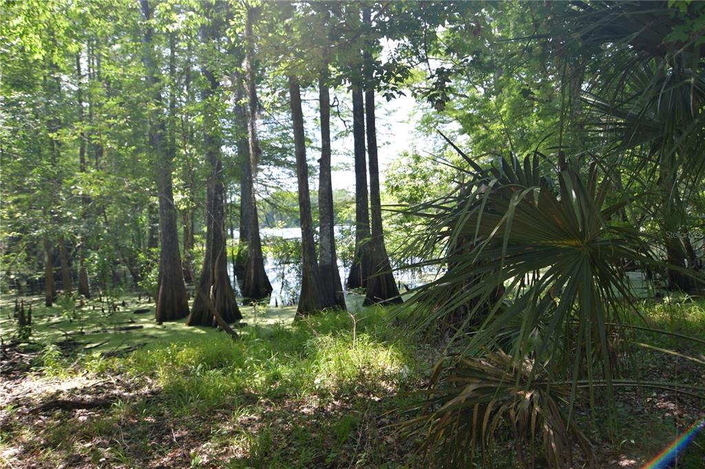 SW 64TH AVE, BUSHNELL, FL — photo 3