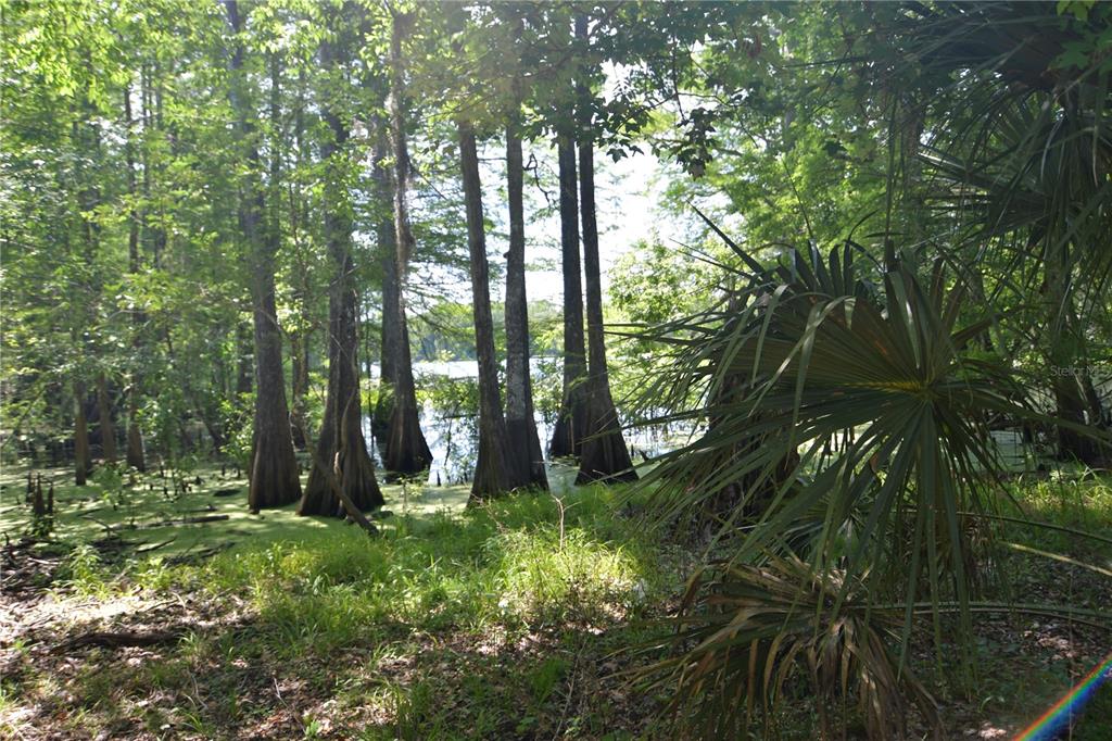 SW 64TH AVE, BUSHNELL, FL — photo 4