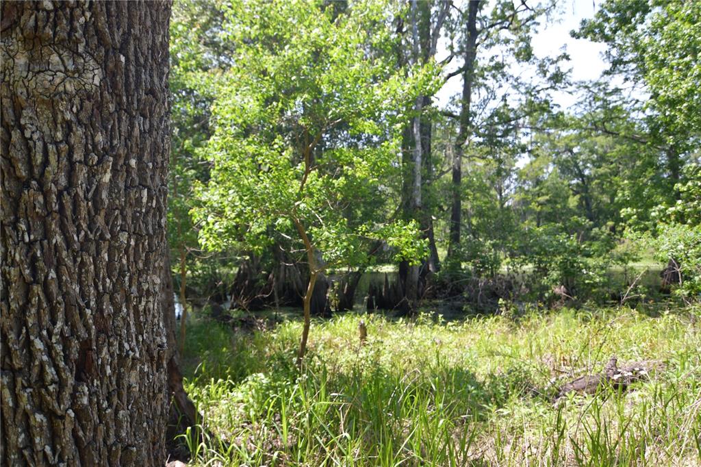 SW 64TH AVE, BUSHNELL, FL — photo 11