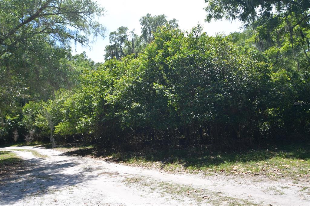 SW 64TH AVE, BUSHNELL, FL — photo 14