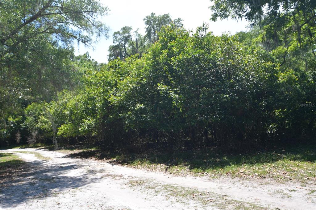 SW 64TH AVE, BUSHNELL, FL — photo 15