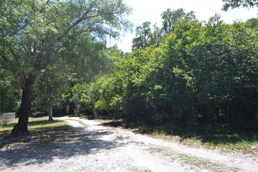 SW 64TH AVE, BUSHNELL, FL — photo 16