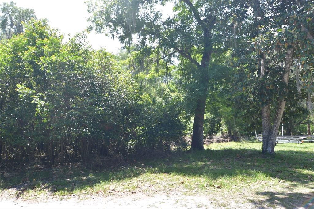 SW 64TH AVE, BUSHNELL, FL — photo 17