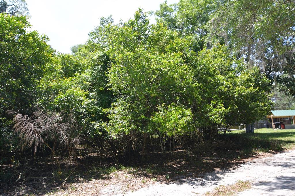SW 64TH AVE, BUSHNELL, FL — photo 18
