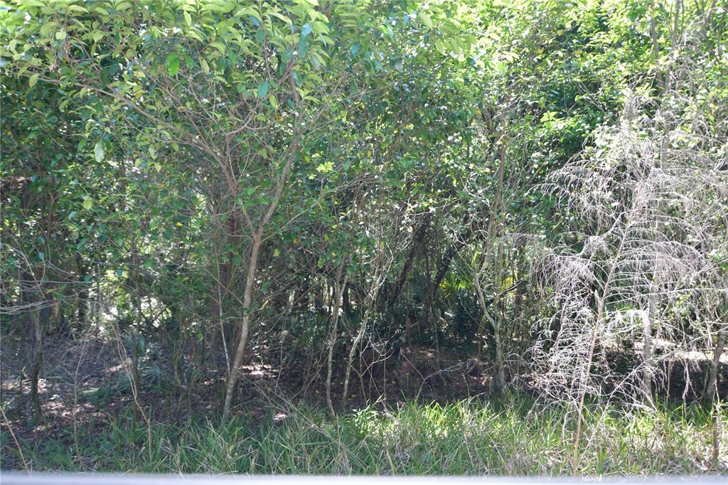 SW 64TH AVE, BUSHNELL, FL — photo 19