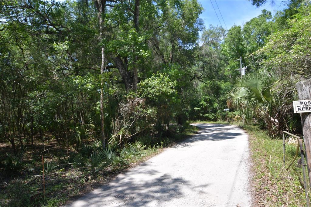 SW 64TH AVE, BUSHNELL, FL — photo 20