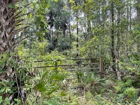 8107 W MAYFAIR DR, HOMOSASSA, FL — photo 2