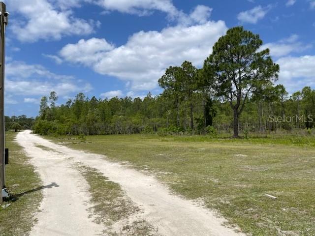 8107 W MAYFAIR DR, HOMOSASSA, FL — photo 3