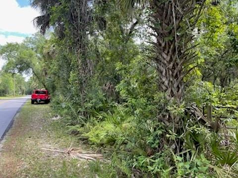 8107 W MAYFAIR DR, HOMOSASSA, FL — photo 5
