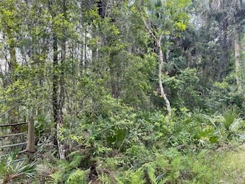 8107 W MAYFAIR DR, HOMOSASSA, FL — photo 6