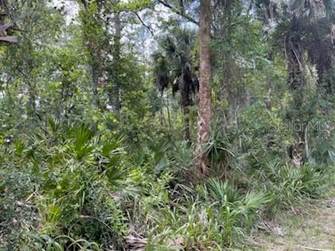 8107 W MAYFAIR DR, HOMOSASSA, FL — photo 8