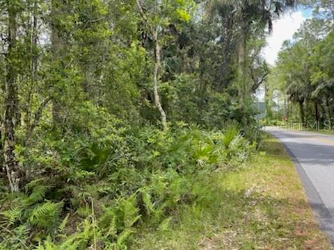 8107 W MAYFAIR DR, HOMOSASSA, FL — photo 9