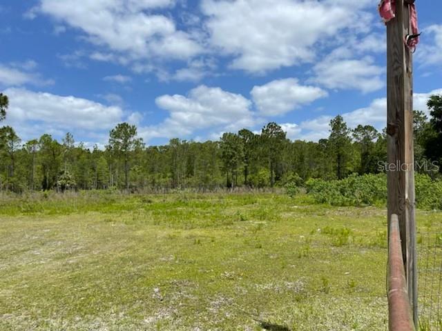 8107 W MAYFAIR DR, HOMOSASSA, FL — photo 10