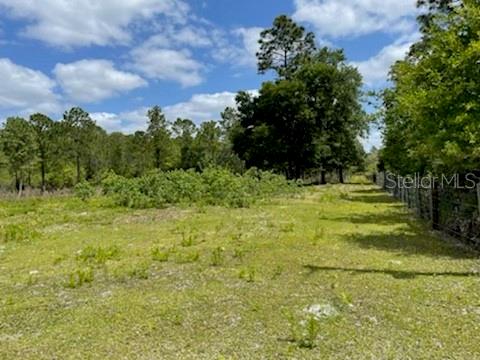 8107 W MAYFAIR DR, HOMOSASSA, FL — photo 11
