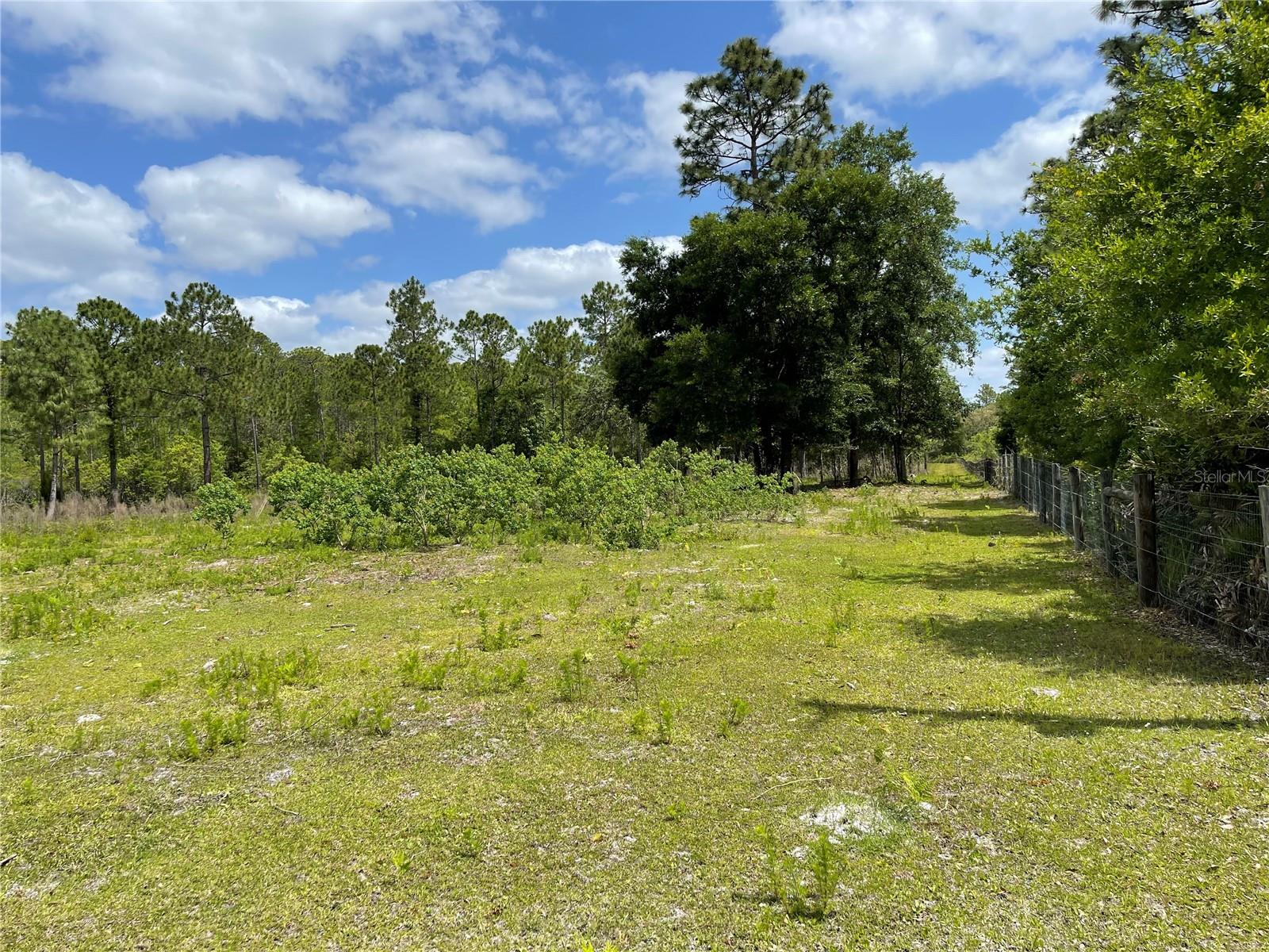 8107 W MAYFAIR DR, HOMOSASSA, FL — photo 7