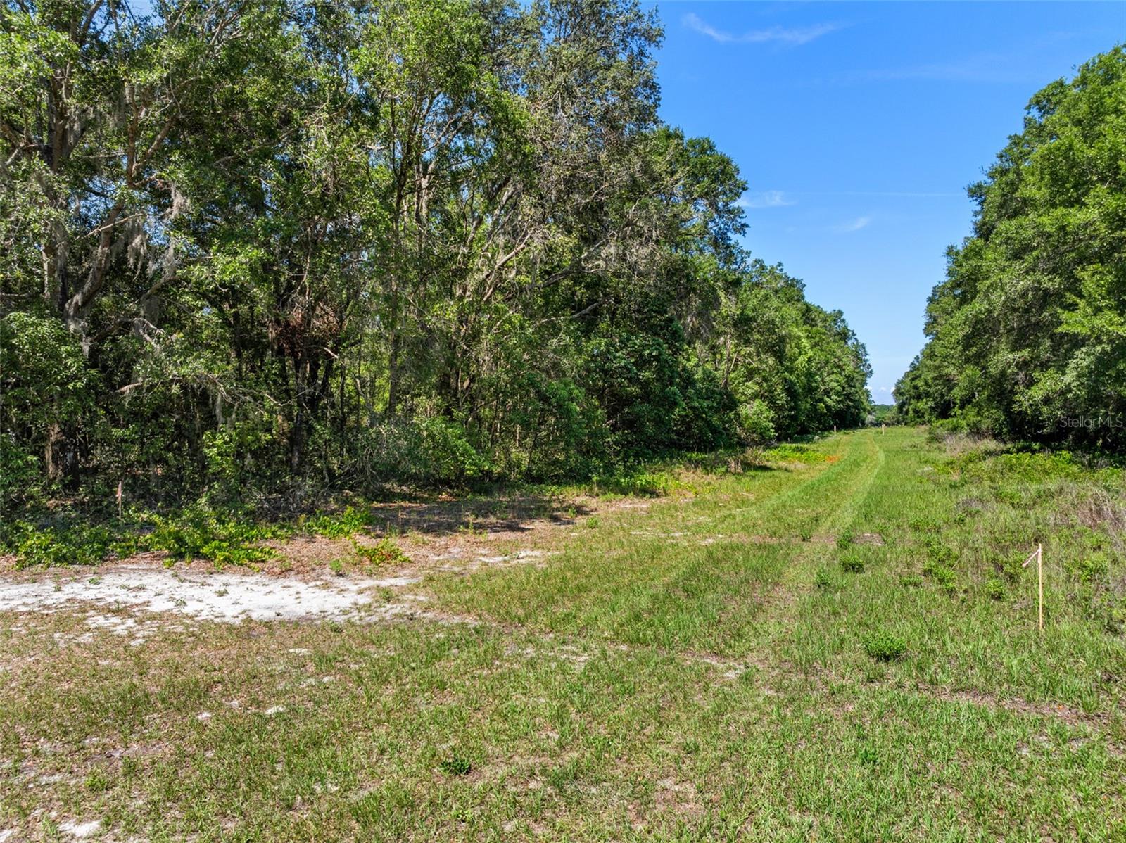 Lot 1 HOJIN ST, SORRENTO, FL — photo 38