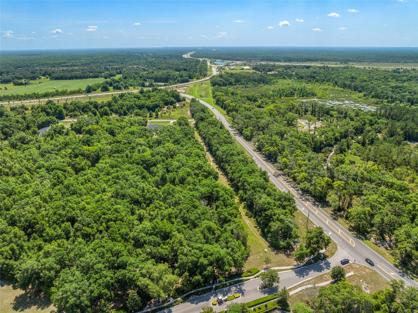 Lot 1 HOJIN ST, SORRENTO, FL — photo 45