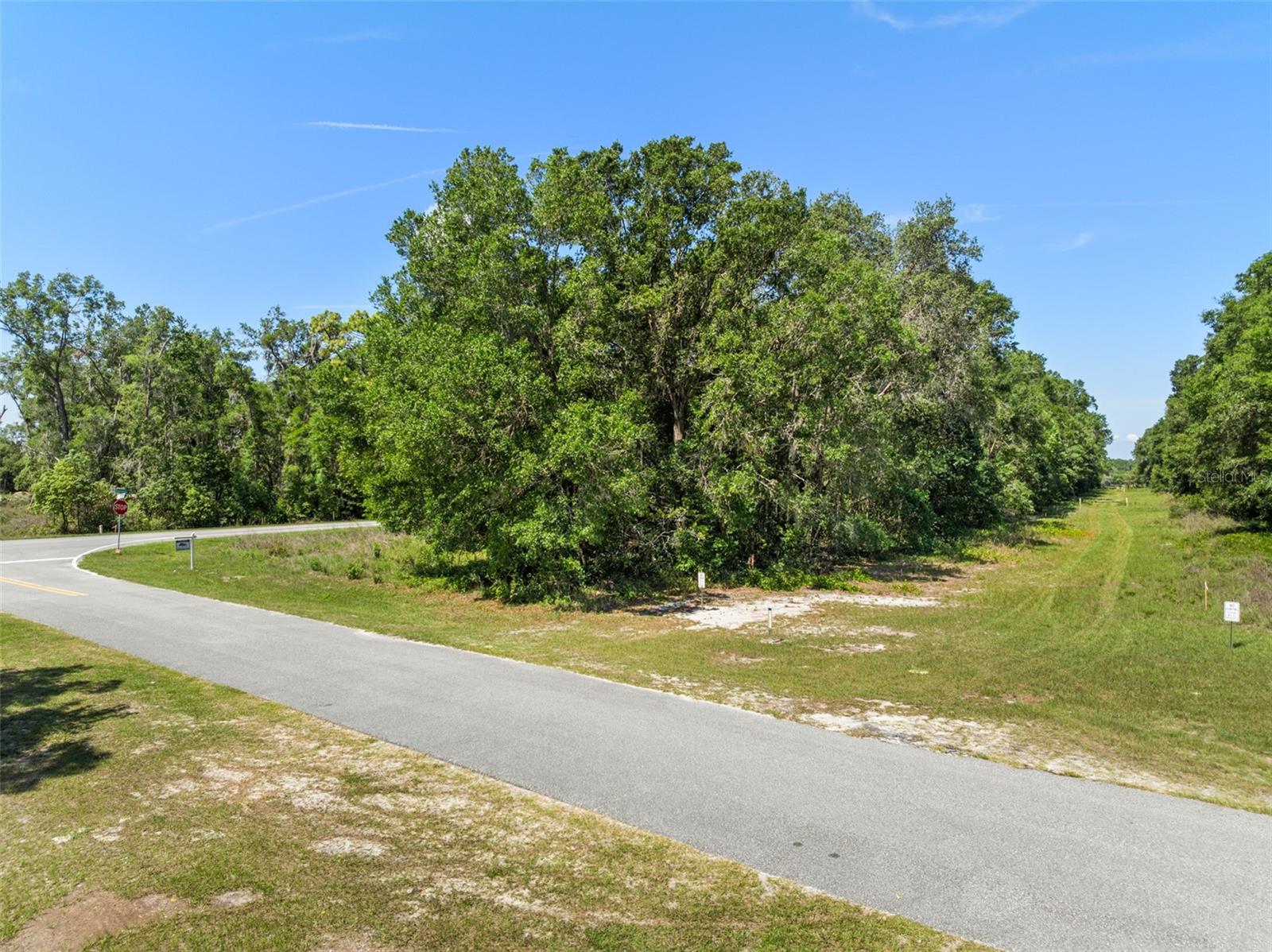 Lot 1 HOJIN ST, SORRENTO, FL — photo 39