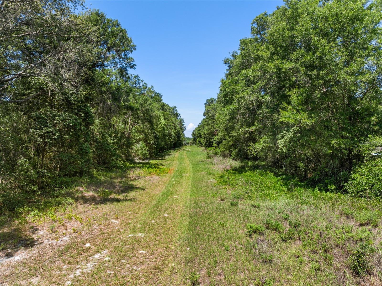 Lot 1 HOJIN ST, SORRENTO, FL — photo 50
