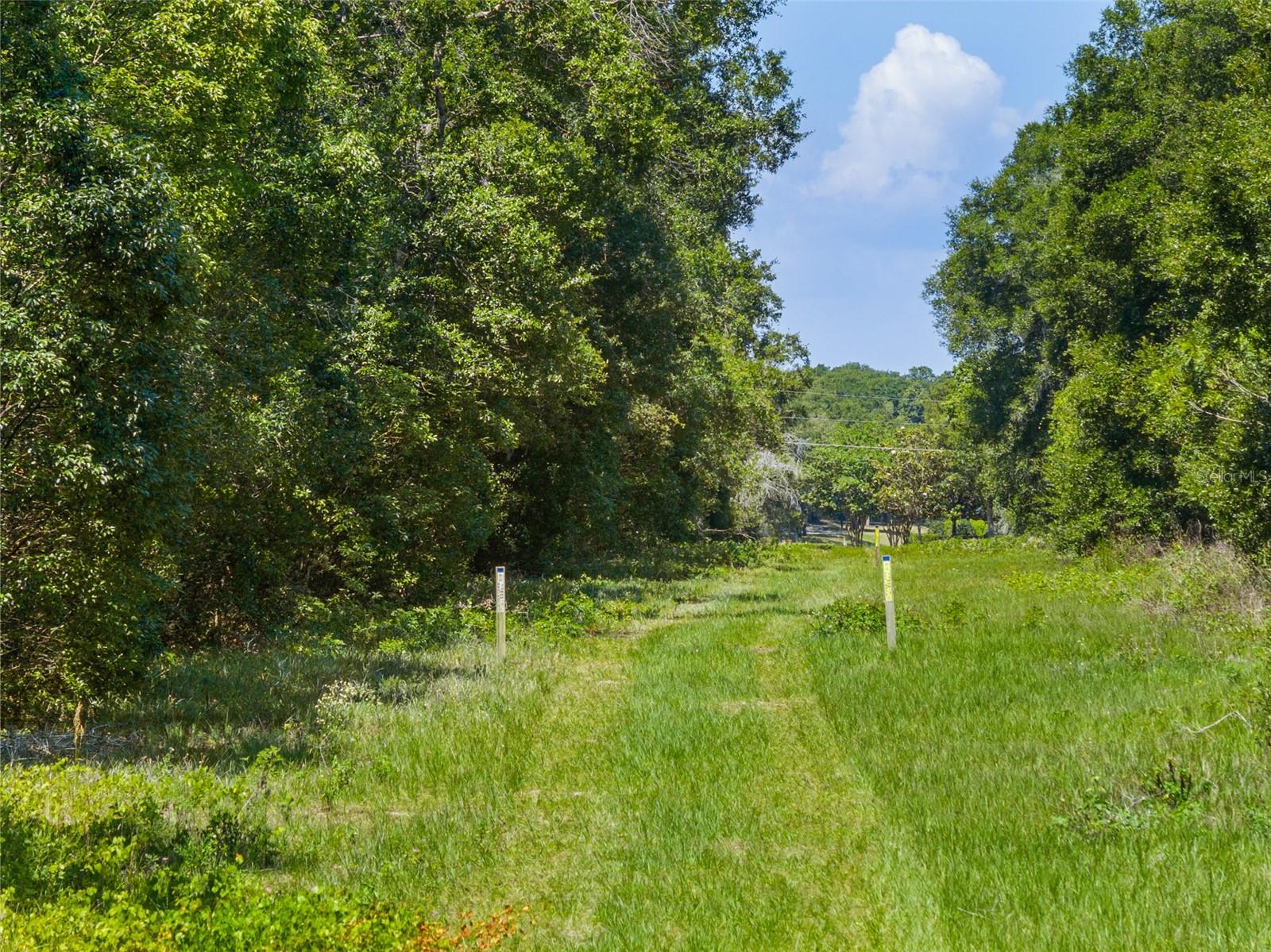 Lot 1 HOJIN ST, SORRENTO, FL — photo 51