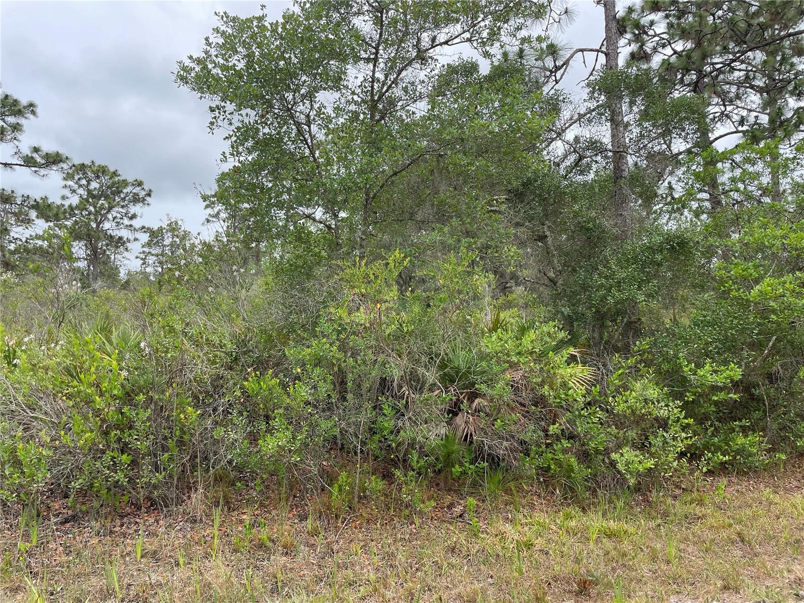 0 BOUGAINVILLEA DR, INDIAN LAKE ESTATES, FL — photo 4