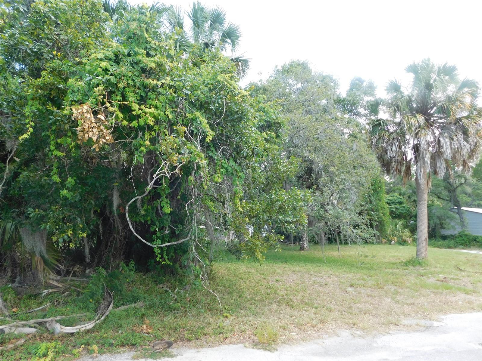 Lot 143 & 145 INWOOD DR, HUDSON, FL — photo 4