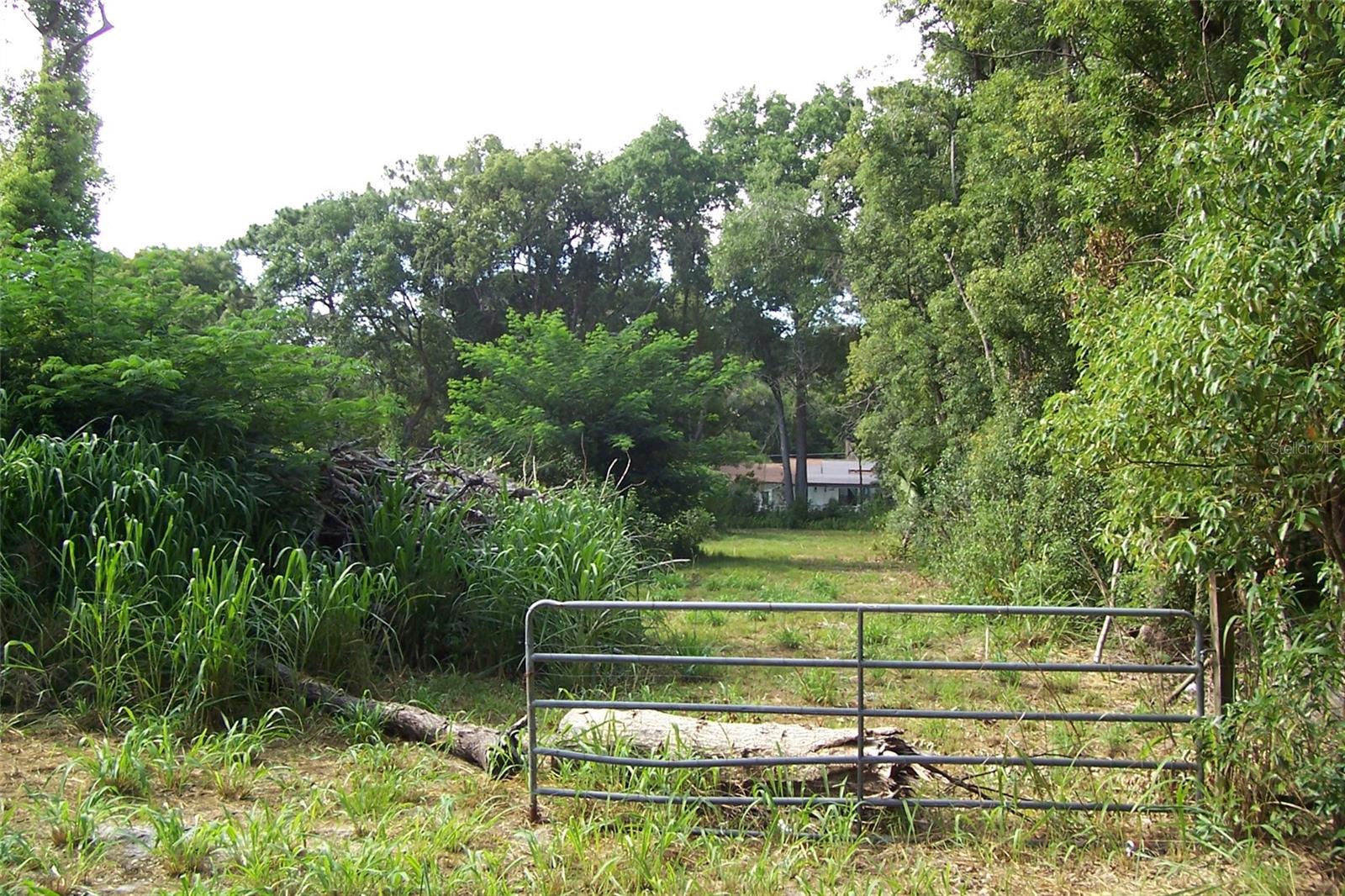 GRANT AVE, EUSTIS, FL — photo 3