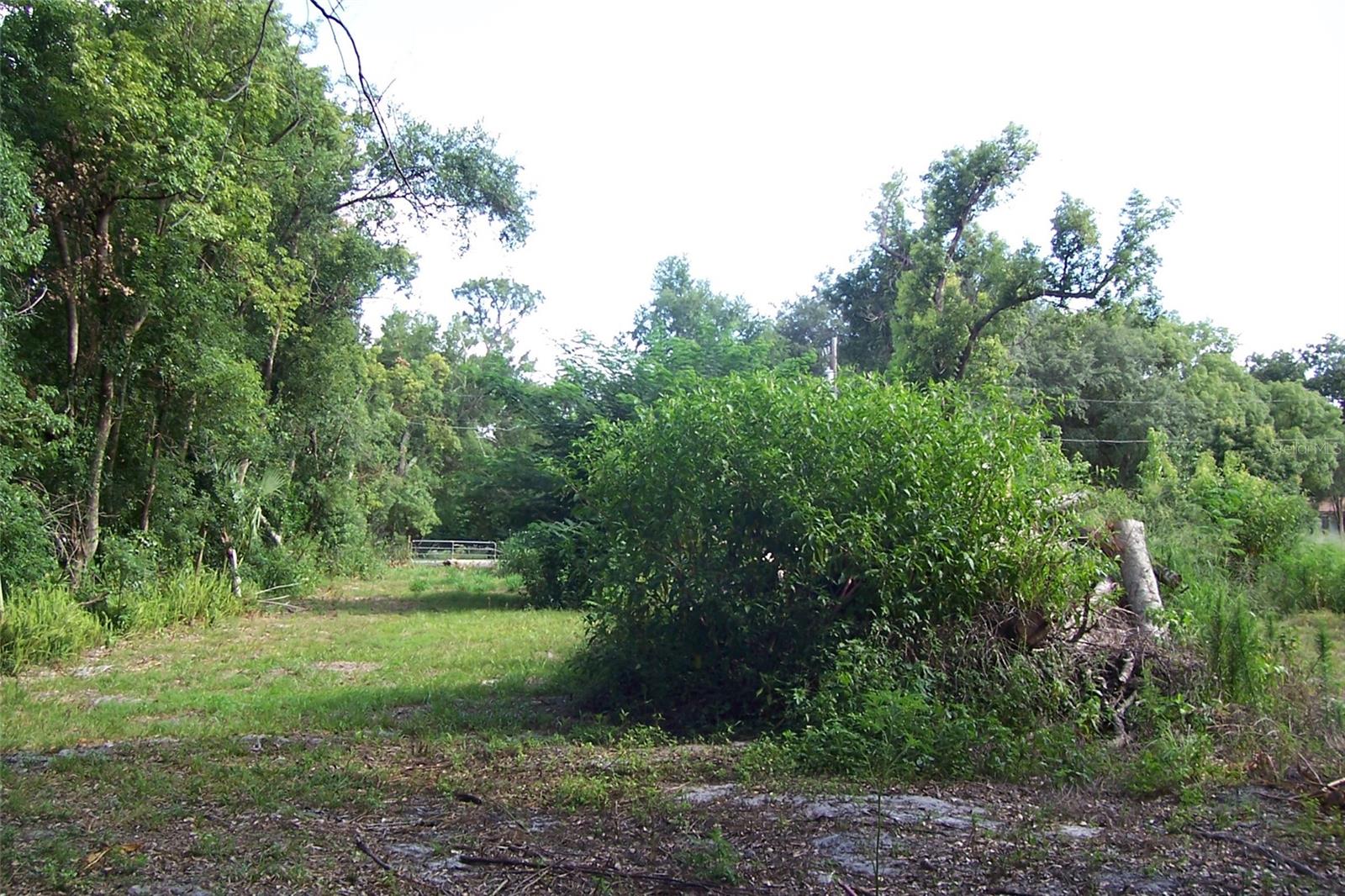 GRANT AVE, EUSTIS, FL — photo 7
